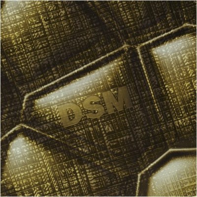 Distributed Shared Memory/Distributed Shared Memory@Inoue/Thaemlitz/Human Mesh Dan